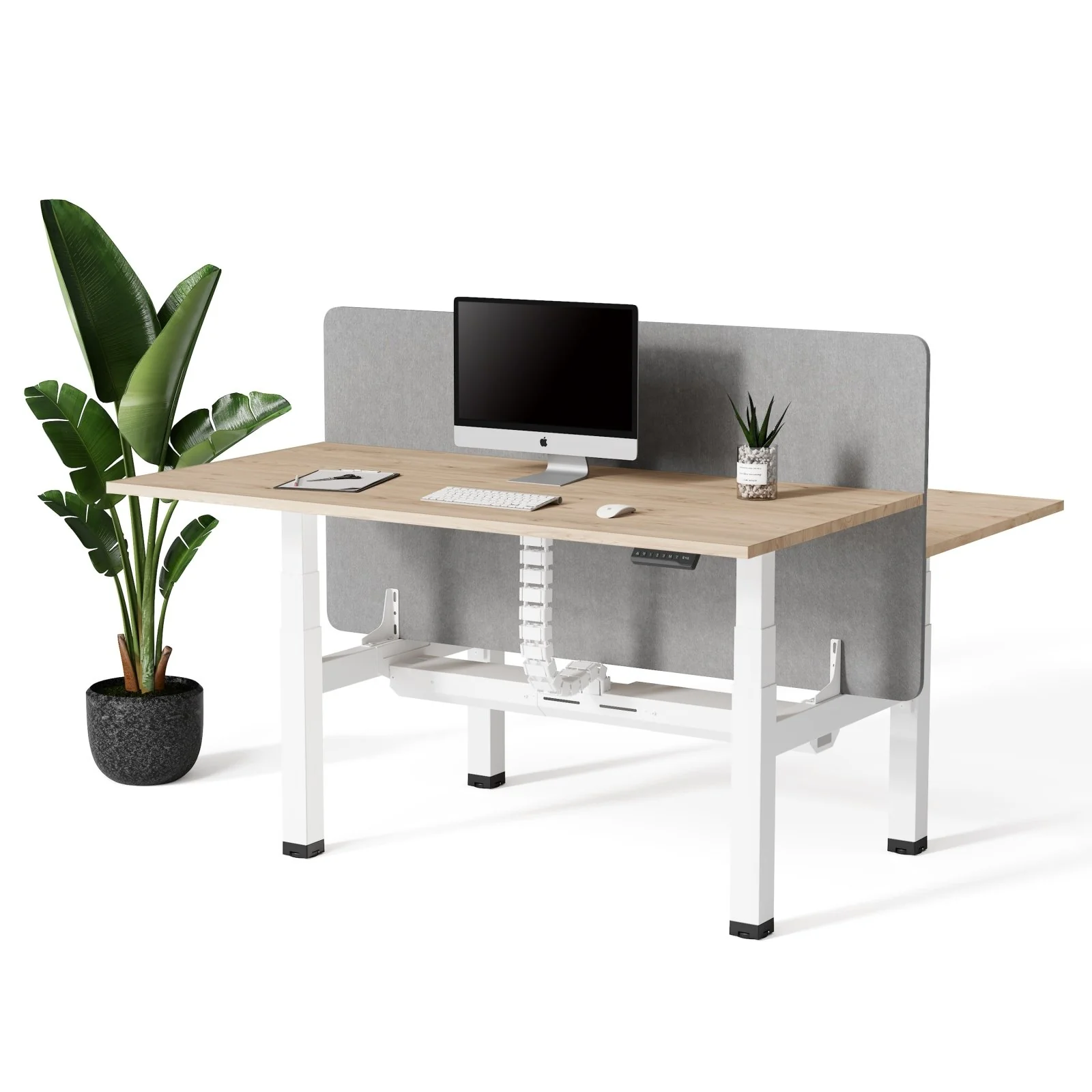 Doko | Standing Desk PRO Duo - Image 14