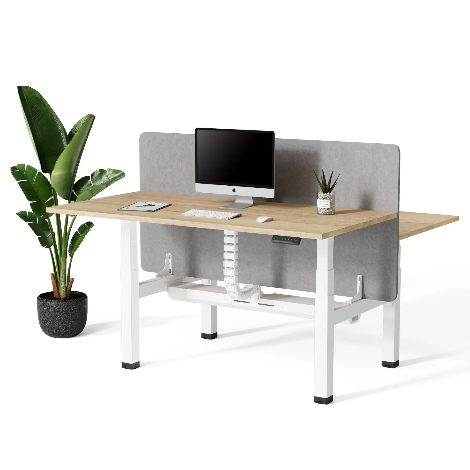 Doko | Standing Desk PRO Duo - Image 16