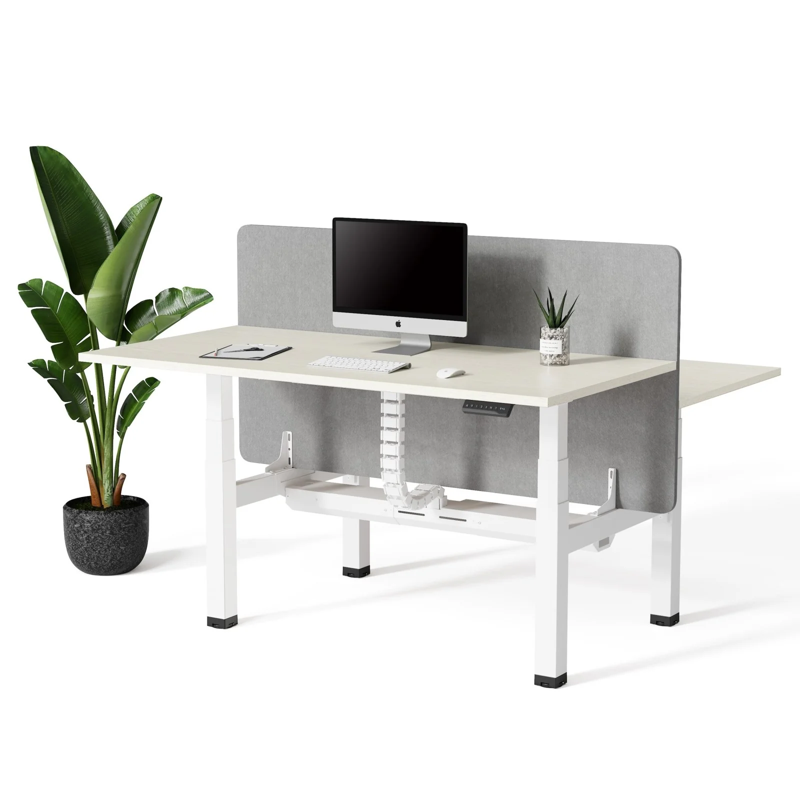 Doko | Standing Desk PRO Duo - Image 18