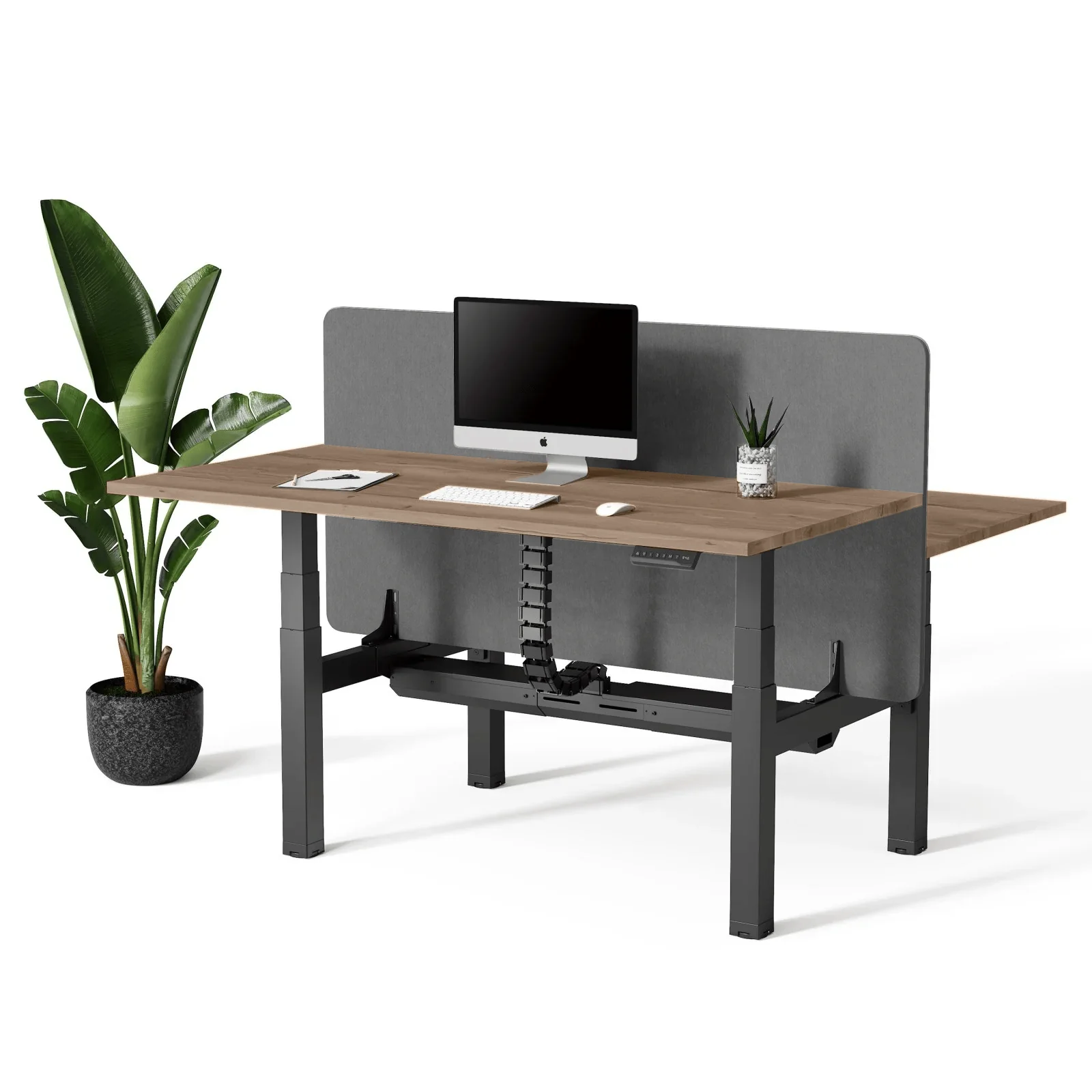 Doko | Standing Desk PRO Duo - Image 20