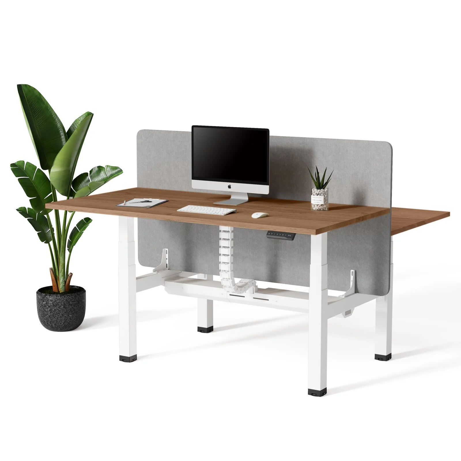 Doko | Standing Desk PRO Duo - Image 22