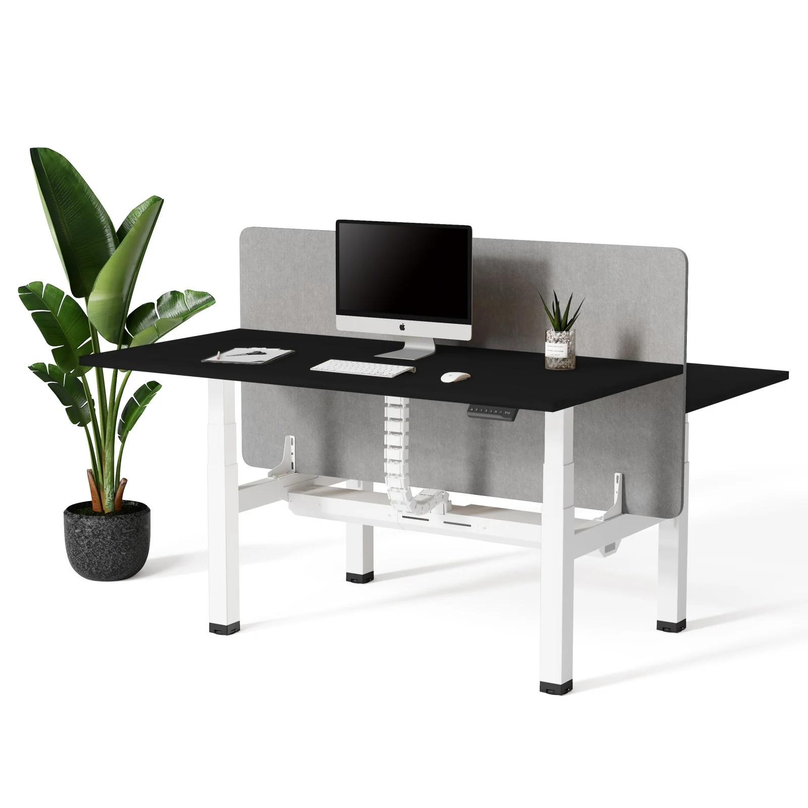 Doko | Standing Desk PRO Duo - Image 26