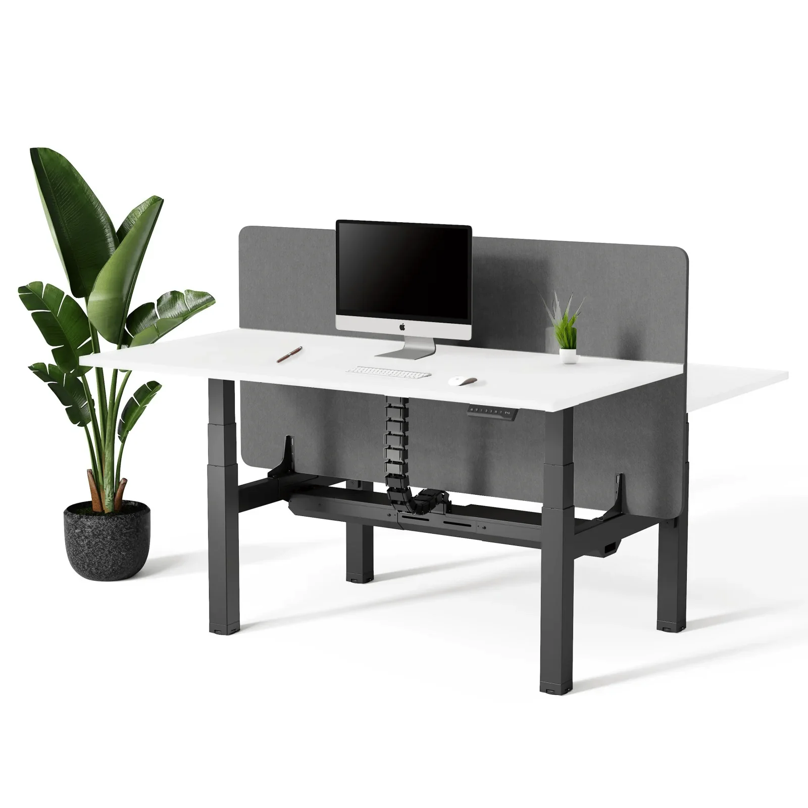 Doko | Standing Desk PRO Duo - Image 28