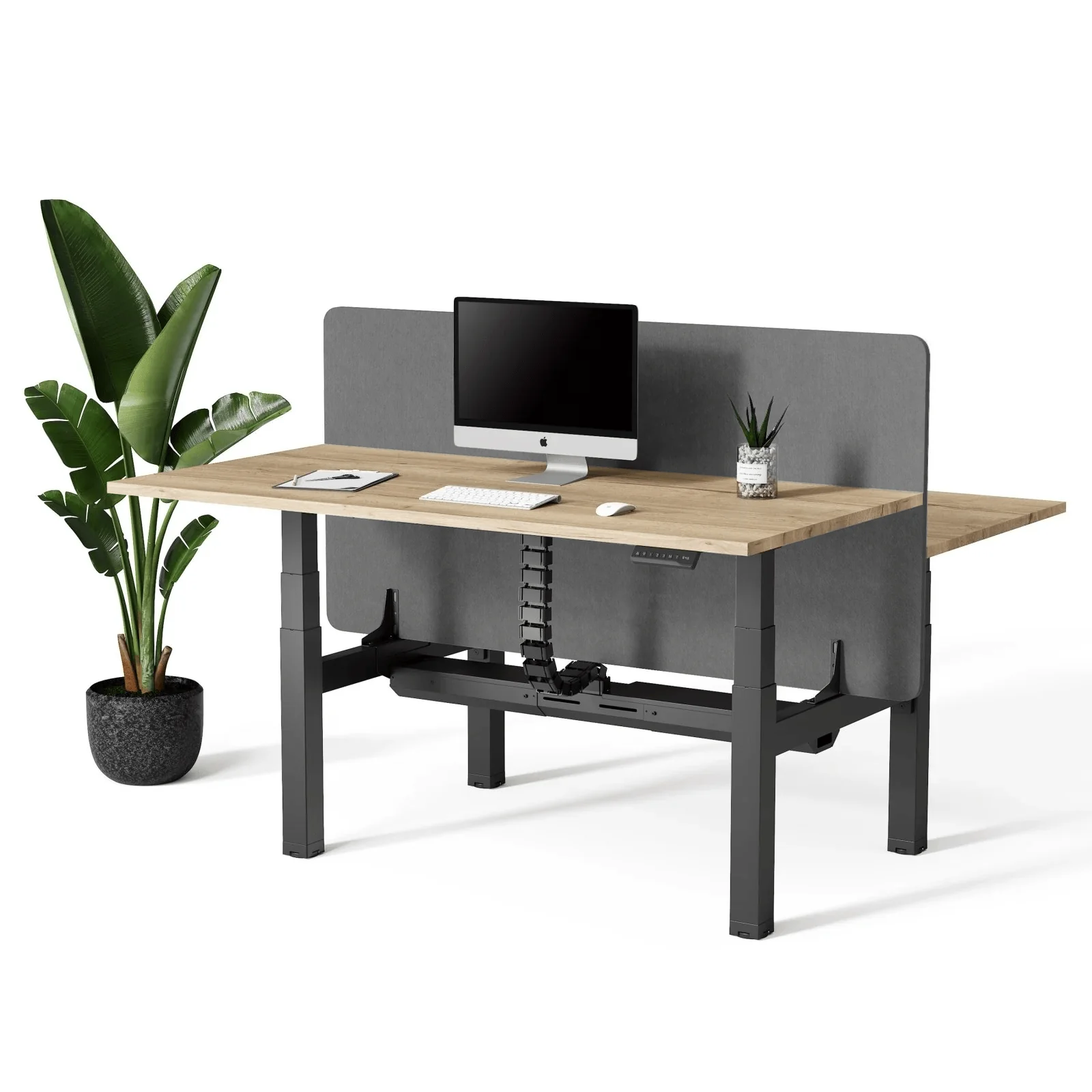 Doko | Standing Desk PRO Duo - Image 8