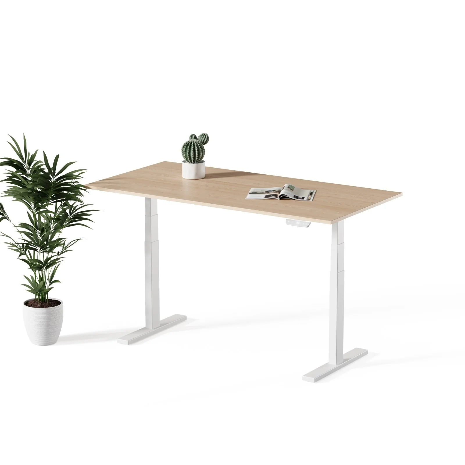 Echo | Standing Desk - Image 10
