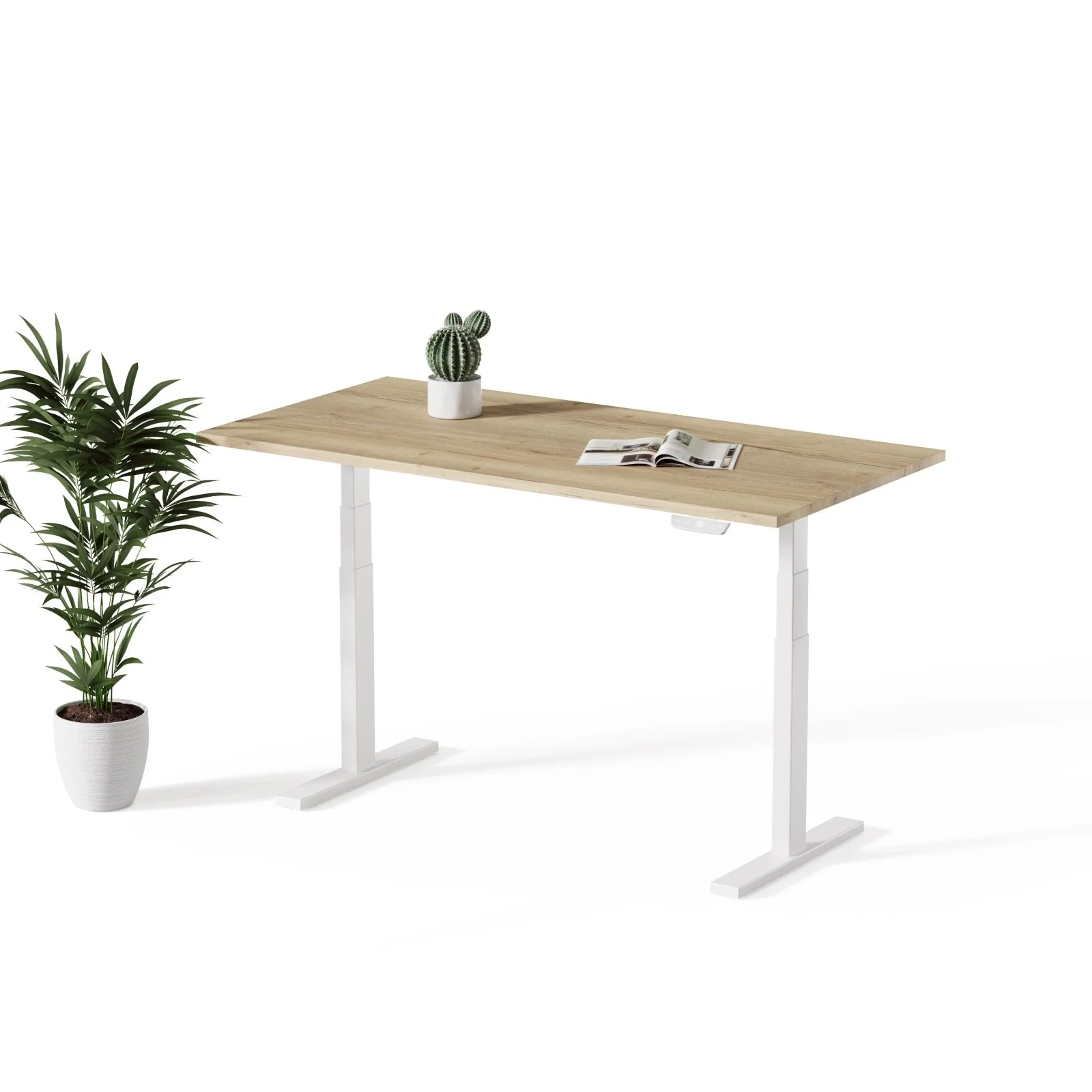 Echo | Standing Desk - Image 18