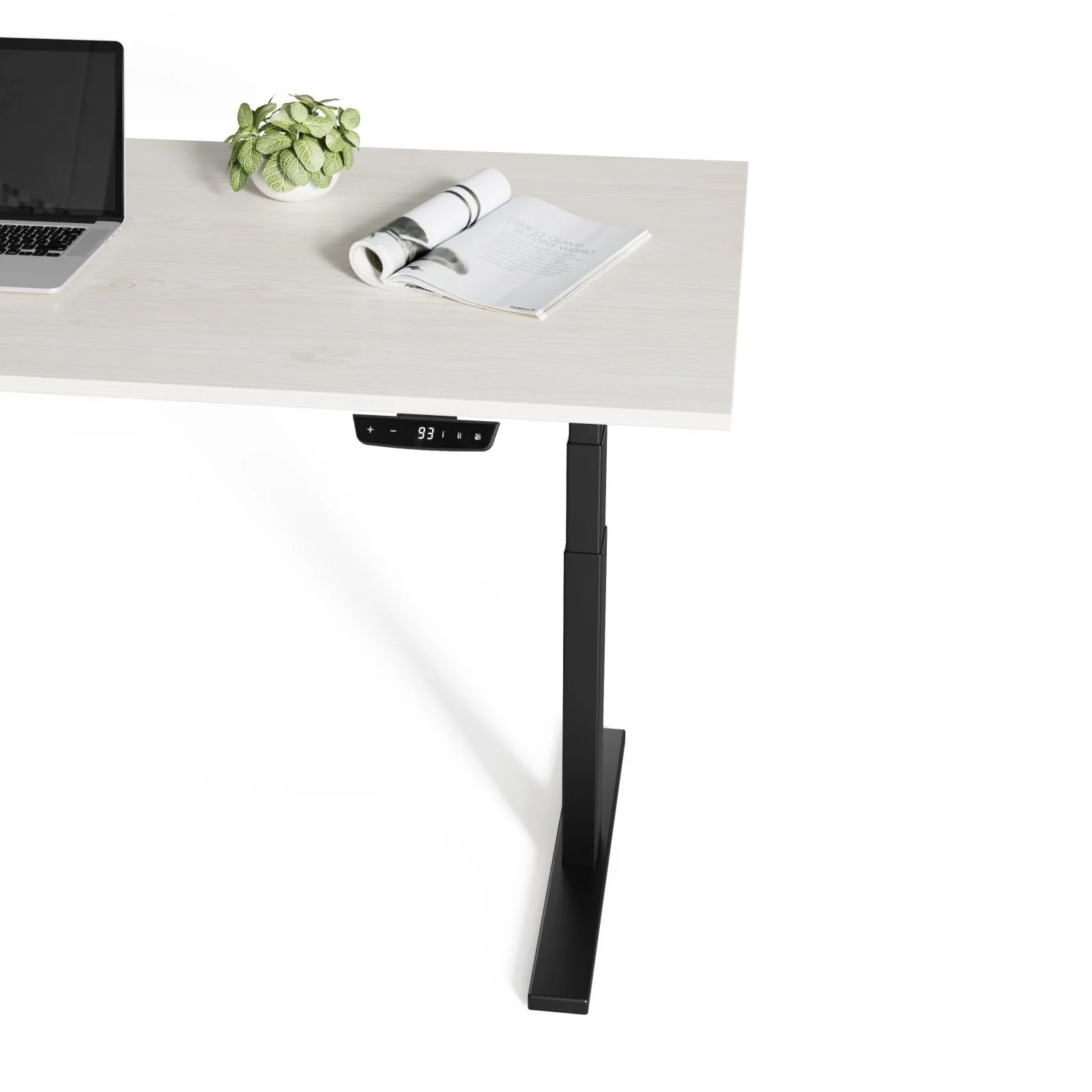 Echo | Standing Desk - Image 23