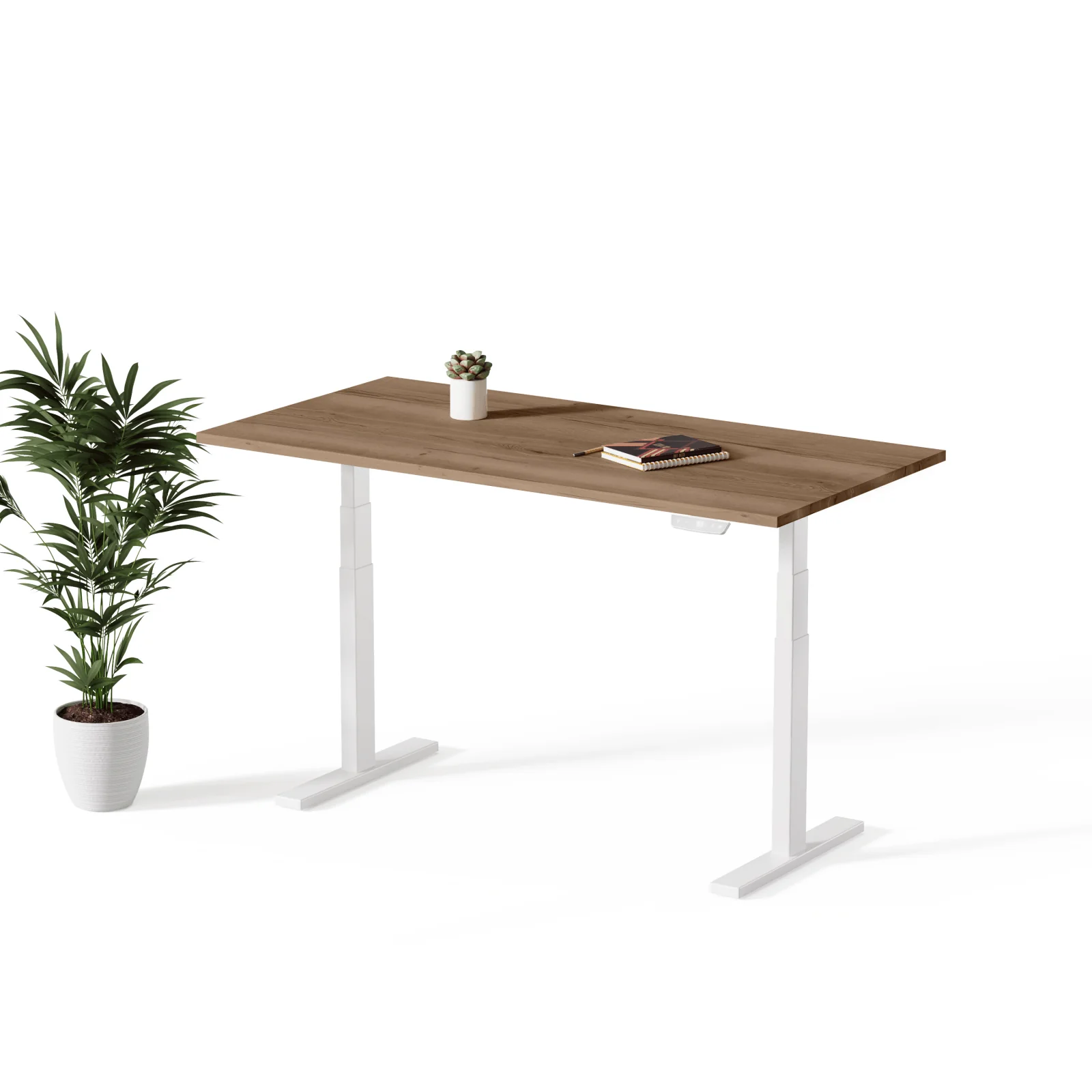 Echo | Standing Desk - Image 34