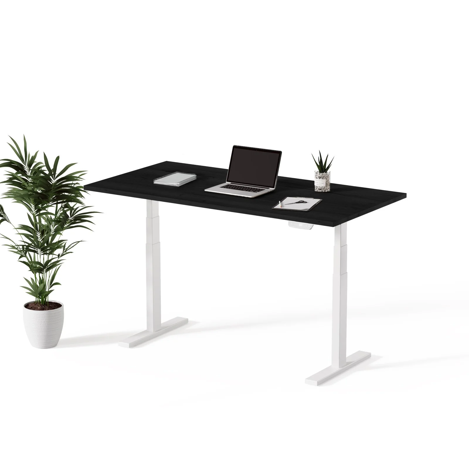 Echo | Standing Desk - Image 42